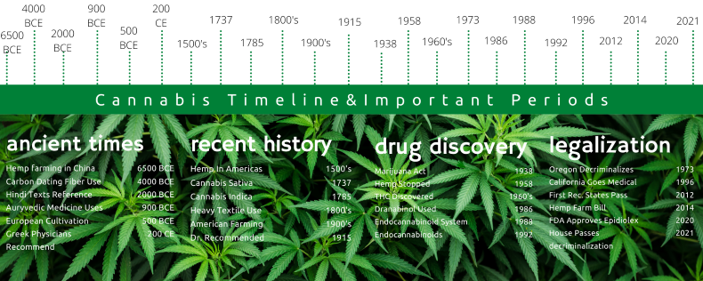 Timeline Of Important Events In Cannabis History - VHS Feels Good